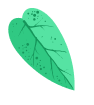 Group 15.png